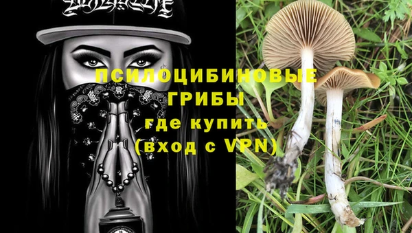 2c-b Абаза