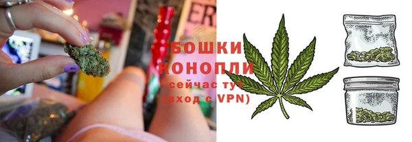 прущие грибы Михайловка