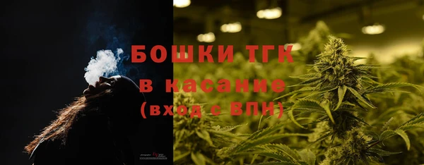прущие грибы Алзамай