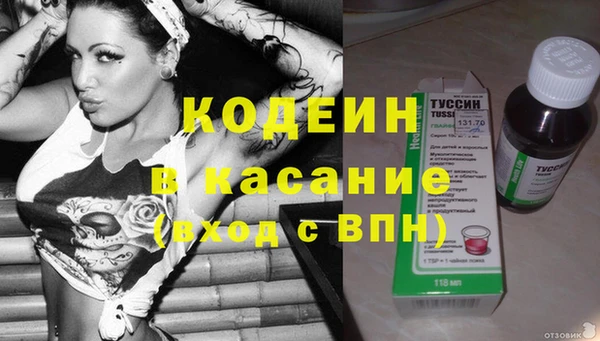 индика Михайловск