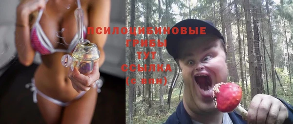 прущие грибы Алзамай